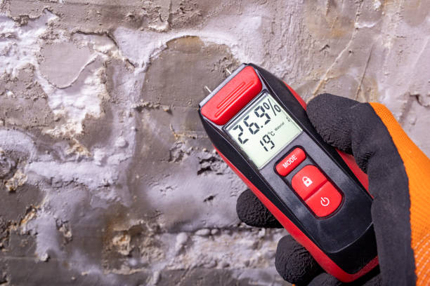 Best Certified Mold Removal  in Streetsboro, OH